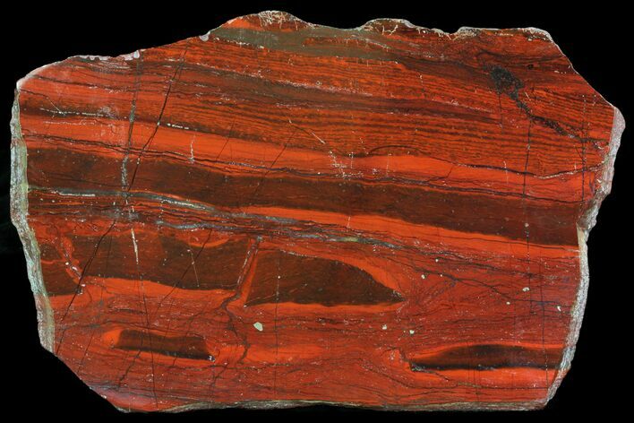 Polished Tiger Iron Stromatolite - ( Billion Years) #75840